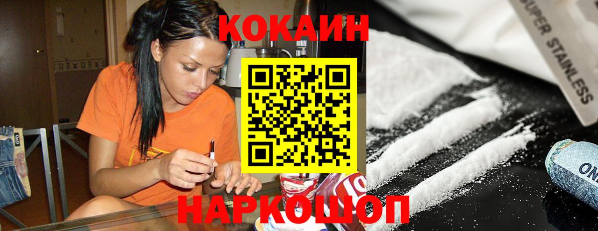 Камышин  КОКАИН Fish Scale  Вход с VPN 