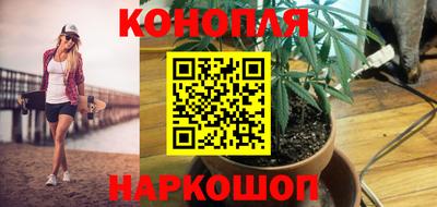 spice Кунгур